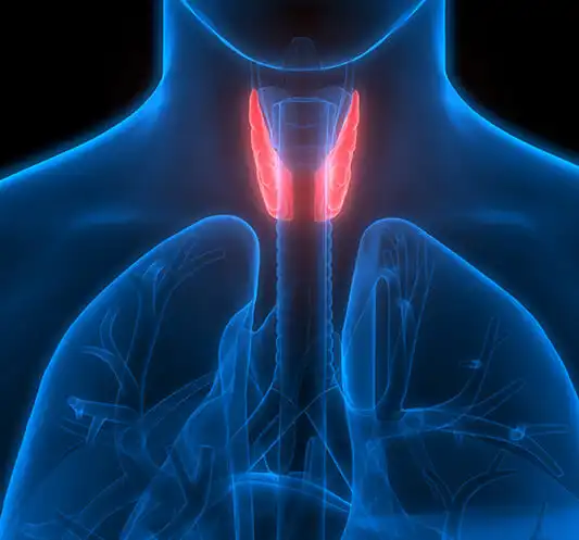 Thyroid Cancer